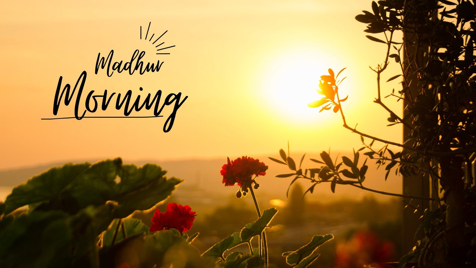 Madhur Morning
